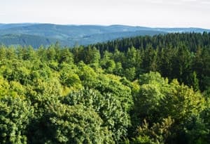 Quartier de Waldeck-Frankenberg