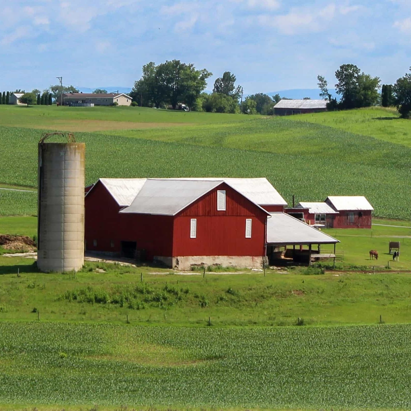 Ferme