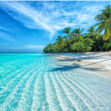 Vacances à la plage - 7 476 Appartements & Maisons de Vacances