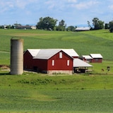 Ferme