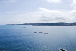 Malte (île)