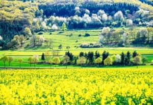 Oberhambach