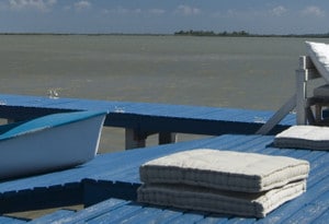Lac de Neusiedl